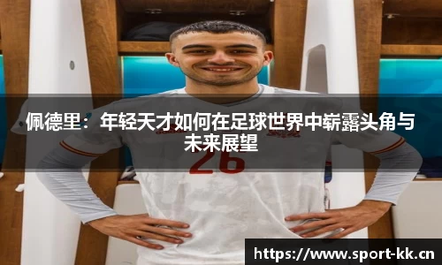 kk体育官方网站